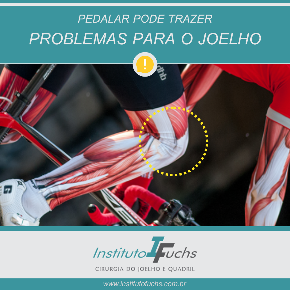 POST-FUCHS-02-PEDALAR