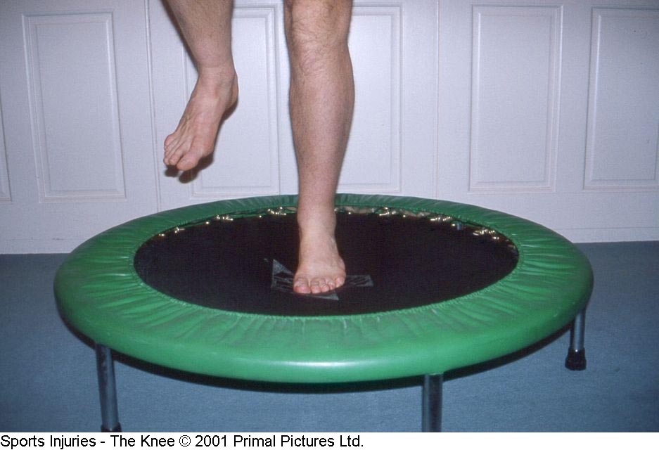 Fig. 19. Mini-trampolim / Cama elástica